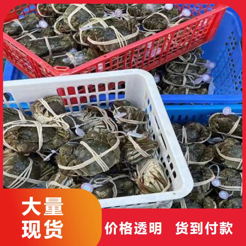 江苏阳澄湖大闸蟹哪里正宗