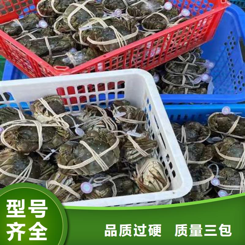 阳澄湖蟹哪家好苏州莲花岛顾记蟹庄