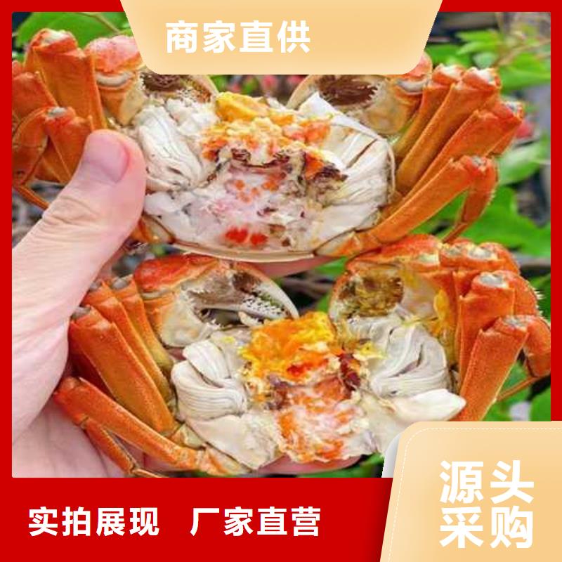 苏州阳澄湖农家乐哪家品质好好吃