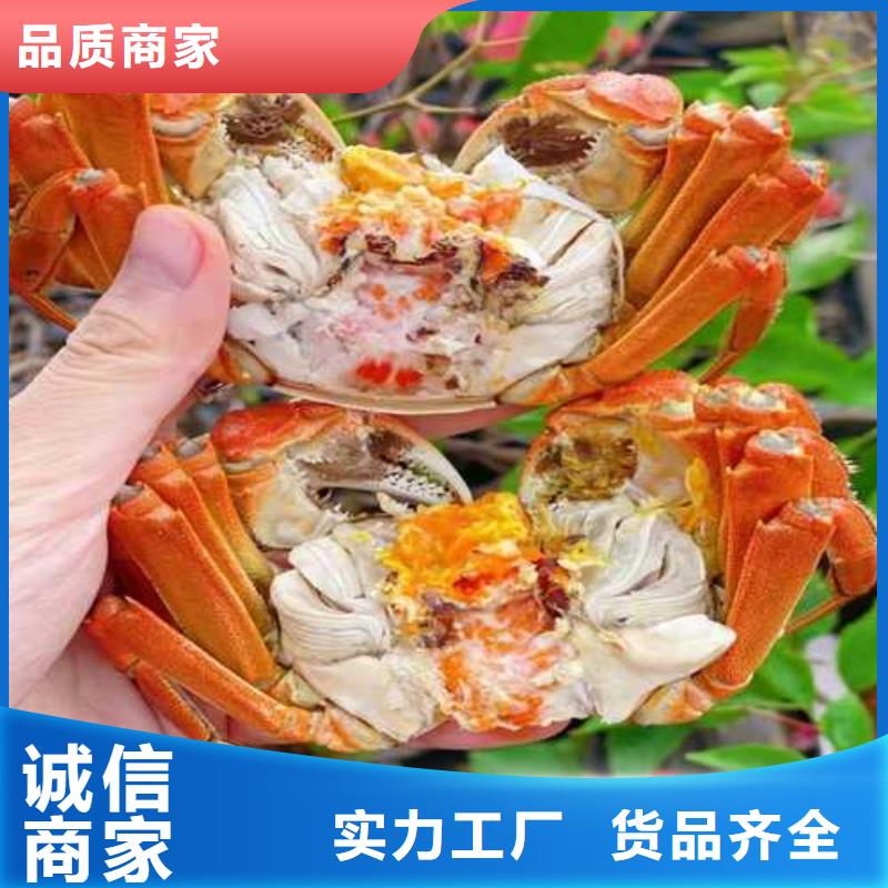 去阳澄湖买蟹哪里好在苏州阳澄湖