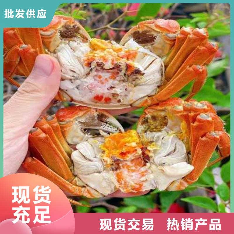 去阳澄湖吃蟹哪家正宗在苏州阳澄湖