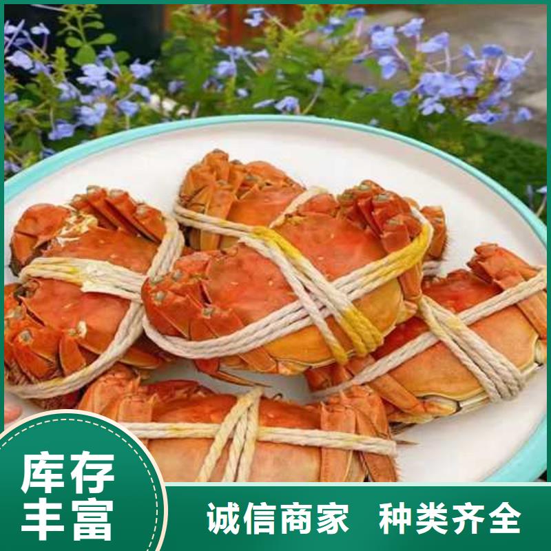 苏州阳澄湖农家乐那家实惠味道好