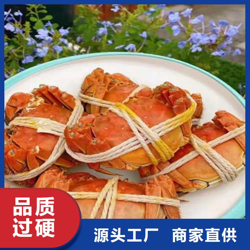 去阳澄湖买蟹哪里好在苏州莲花岛