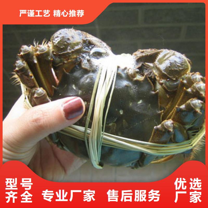 莲花岛大闸蟹哪家好吃