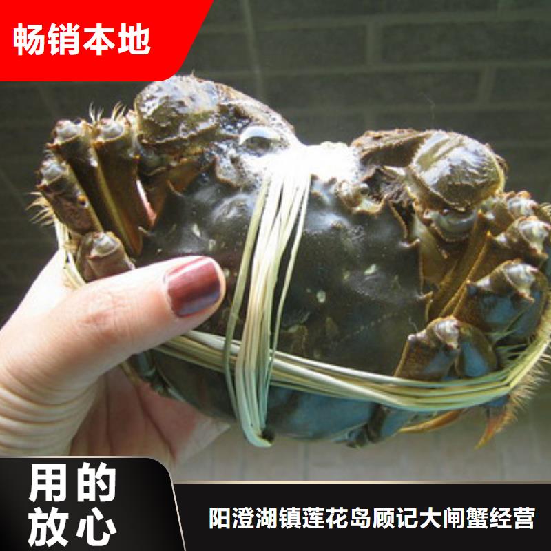 苏州阳澄湖大闸蟹哪里正宗