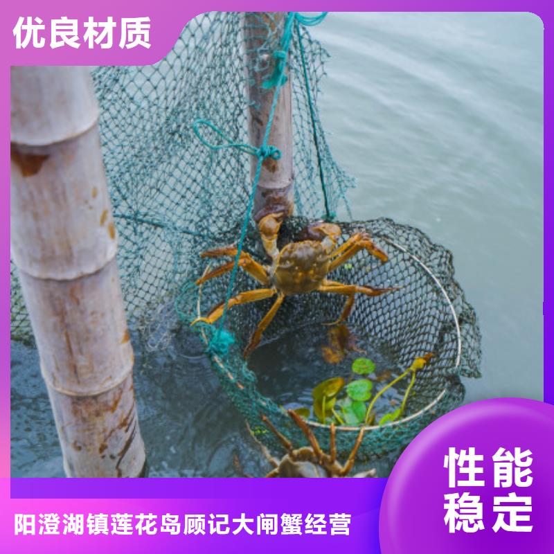 琼海市去阳澄湖吃蟹哪里比较正宗在阳澄湖