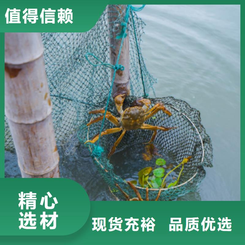 阳澄湖蟹哪家比较好苏州莲花岛顾记蟹庄