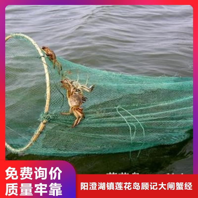 莲花岛大闸蟹哪家好吃
