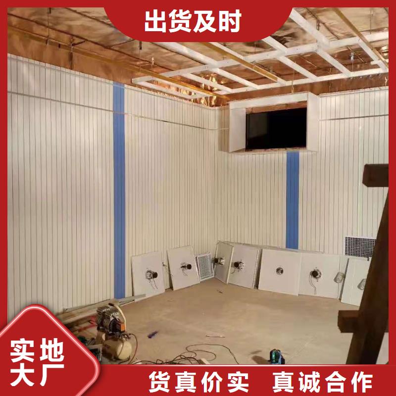 【射线防护工程_铅门厂家品质可靠】