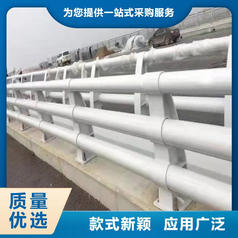 桥梁护栏-【高速开口栏网】欢迎来厂考察