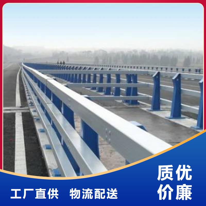 桥梁护栏-【高速开口栏网】欢迎来厂考察