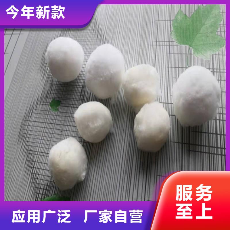 水处理填料,聚丙烯酰胺多种规格库存充足