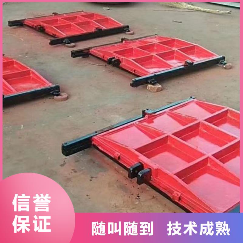 专业供货品质管控瑞鑫3米*3米铸铁闸门