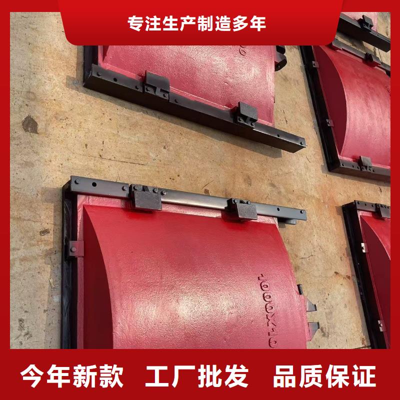 闸门启闭机-双向拦水铸铁闸门环保型