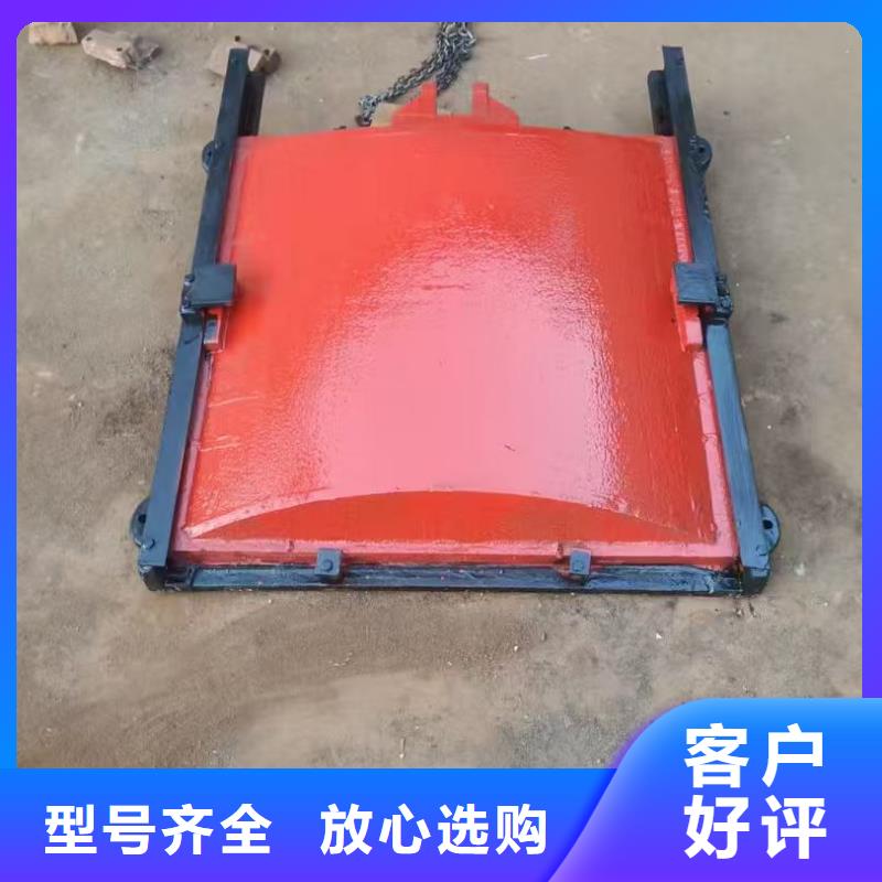 铸铁镶铜闸门-铸铁闸门螺杆启闭机终身维护