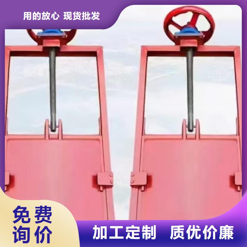 双向止水铸铁闸门
