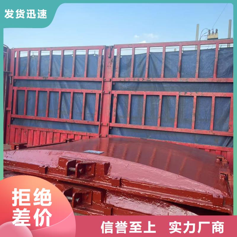软密封闸门水利闸门