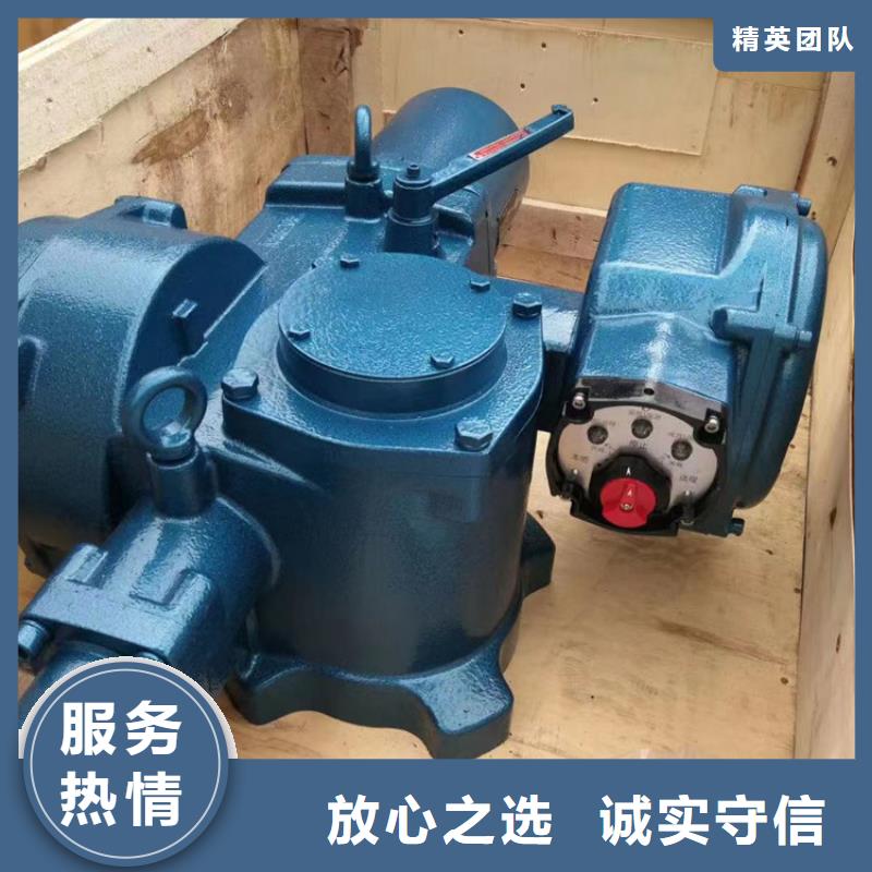 卷扬启闭机螺杆式启闭机生产基地
