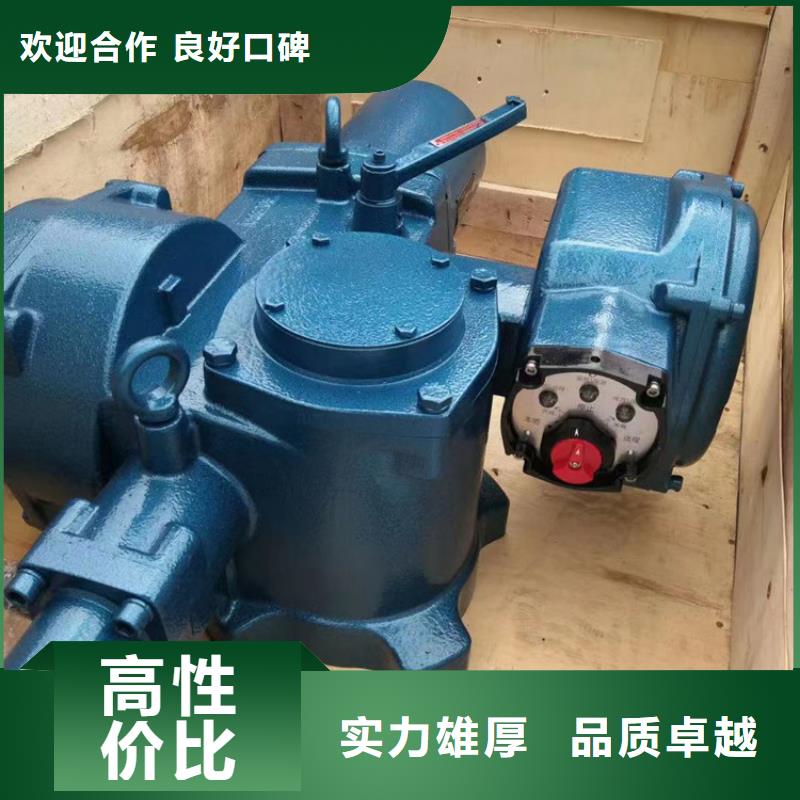 启闭机闸门手摇式螺杆启闭机本地厂家