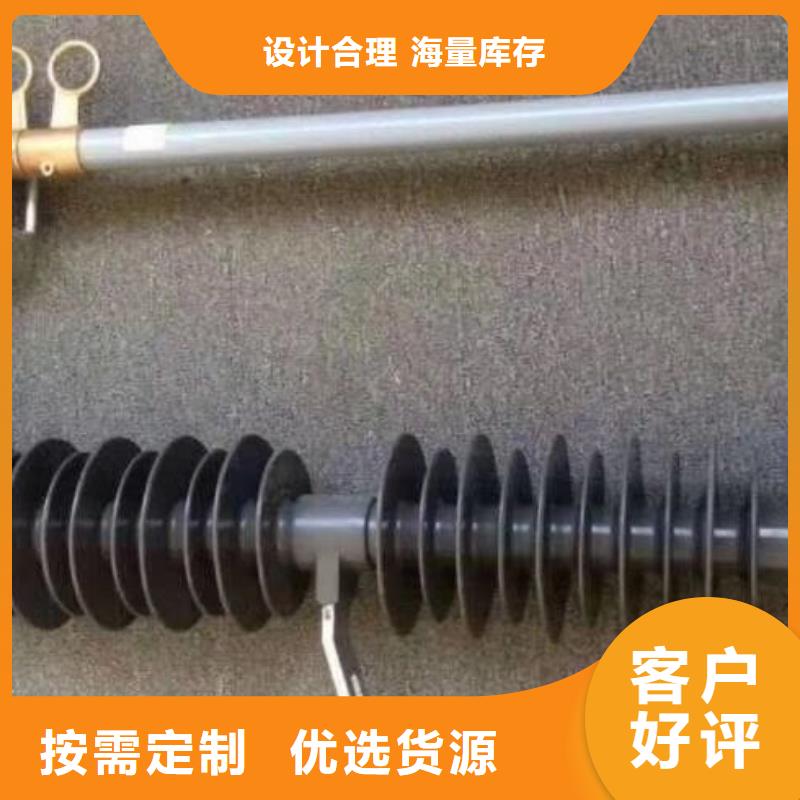 熔断器三相组合式避雷器注重细节