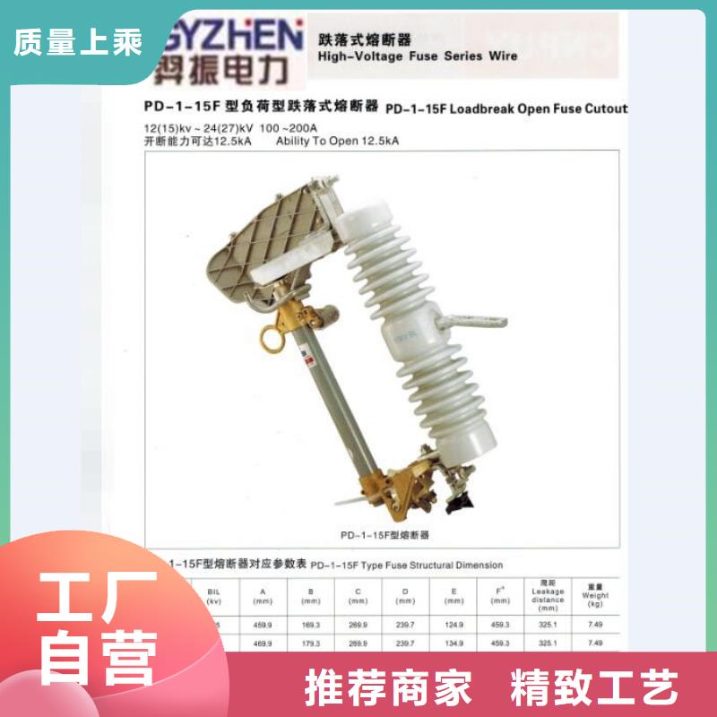 熔断器【真空断路器】设计制造销售服务一体