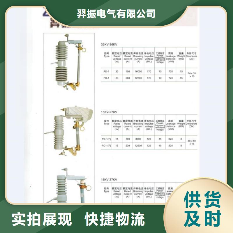 熔断器金属氧化物避雷器丰富的行业经验