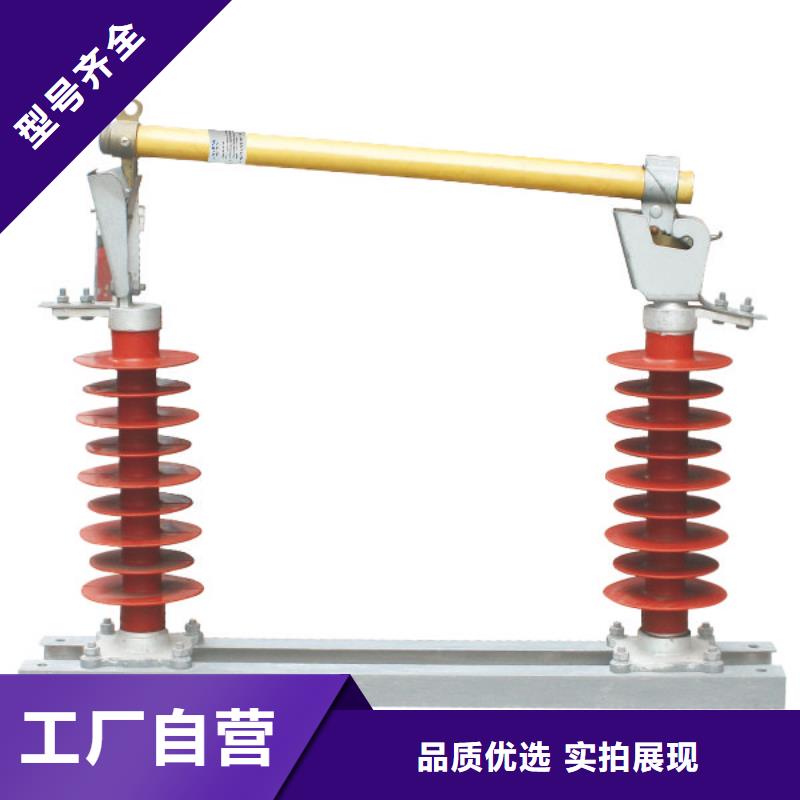 熔断器-避雷器放心购