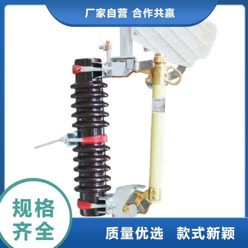 熔断器户外高压断路器好品质用的放心