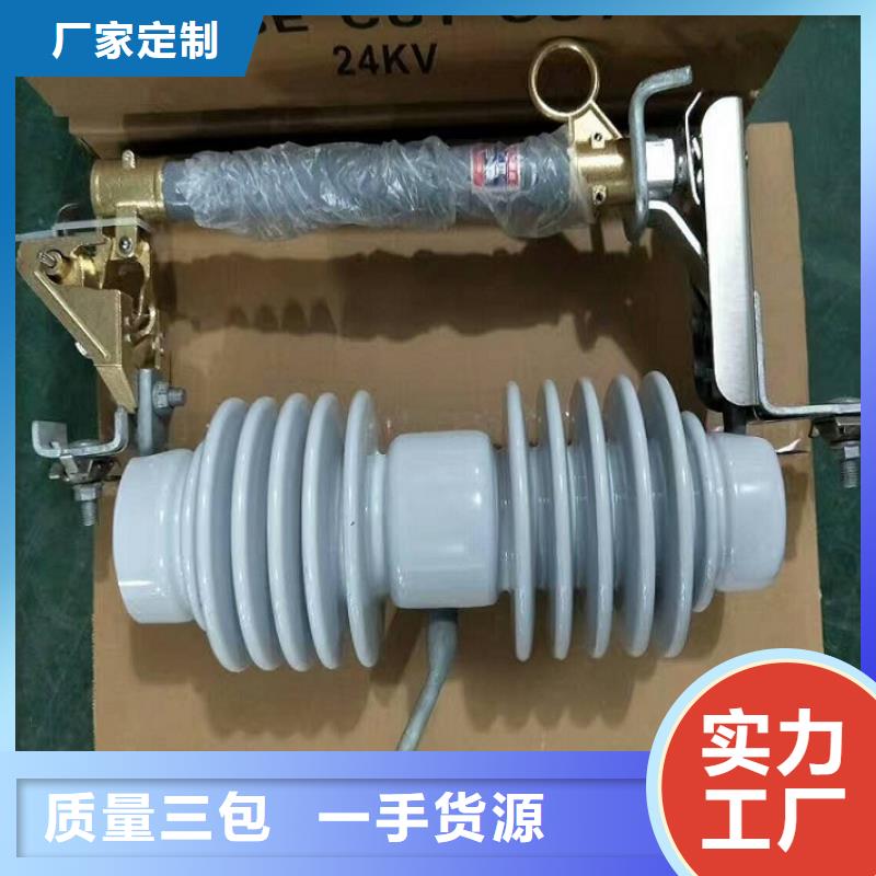 熔断器_复合绝缘子价格实在
