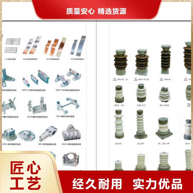 高压隔离开关CW2智能型式断路器以质量求生存
