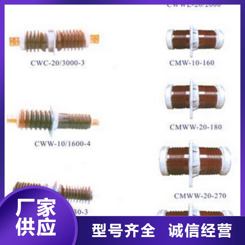 【高压隔离开关】-复合绝缘子实拍品质保障