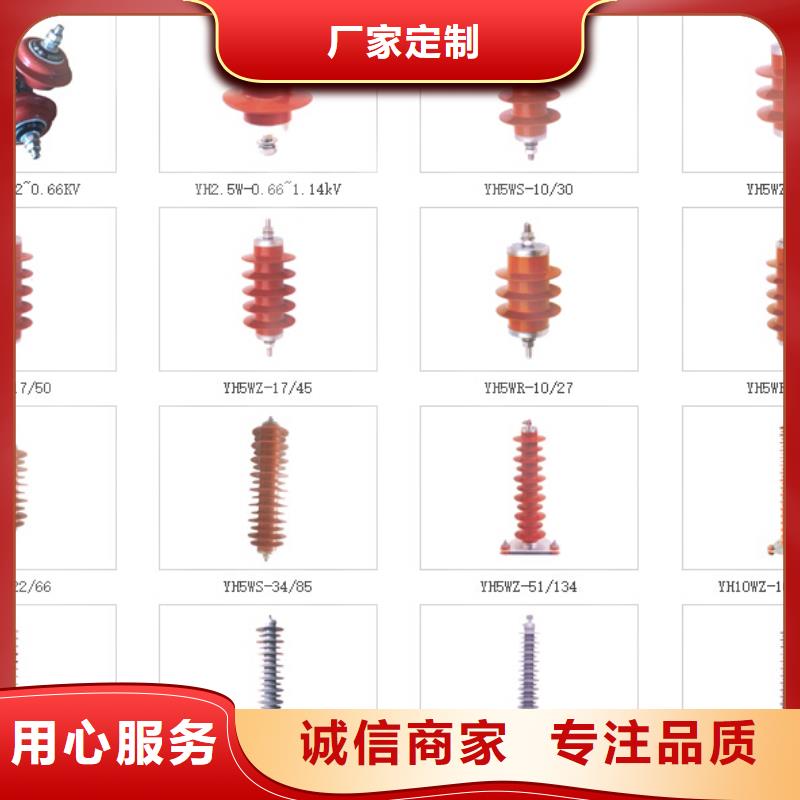 高压隔离开关CW2智能型式断路器以质量求生存