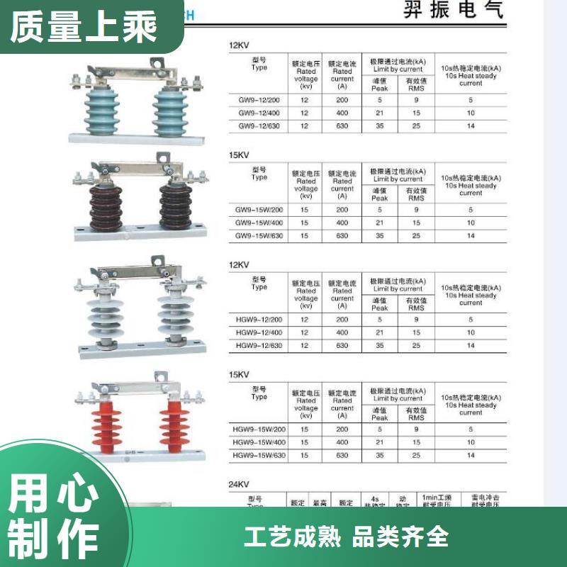 高压隔离开关真空断路器专业生产N年