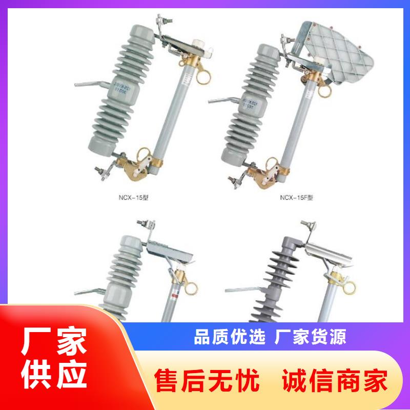 高压隔离开关户外绝缘件专注质量