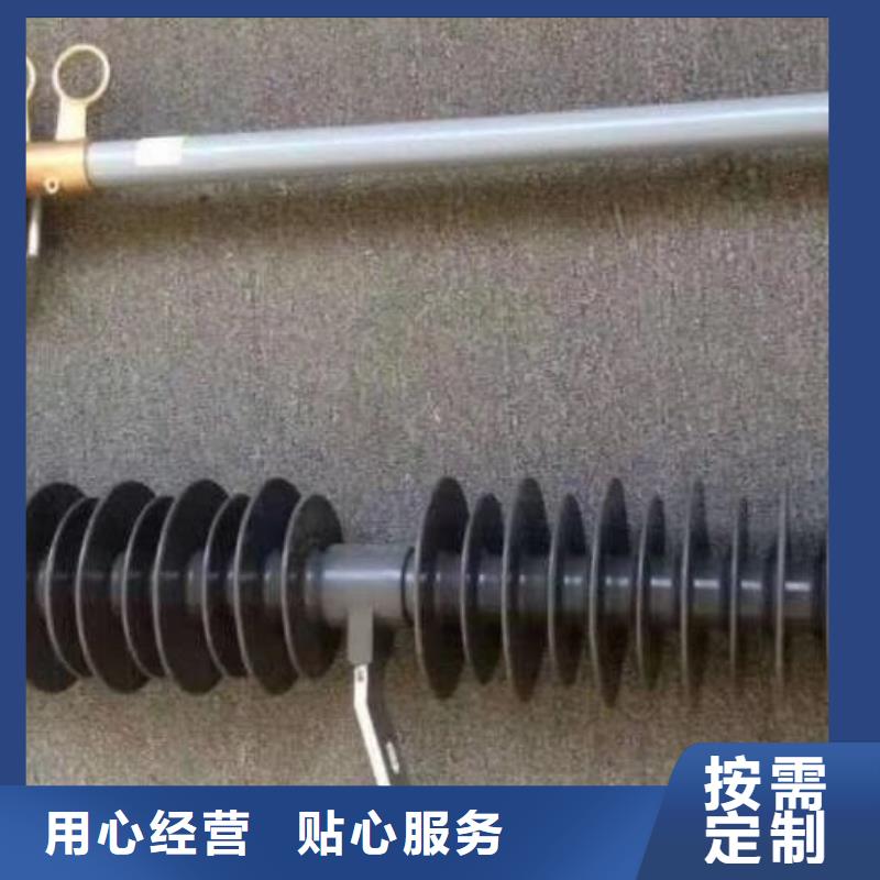 【熔断器,三相组合式避雷器精工细作品质优良】