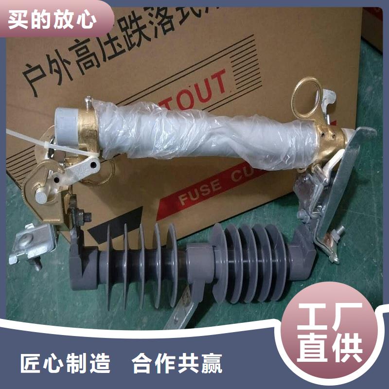 熔断器金属氧化物避雷器一对一为您服务