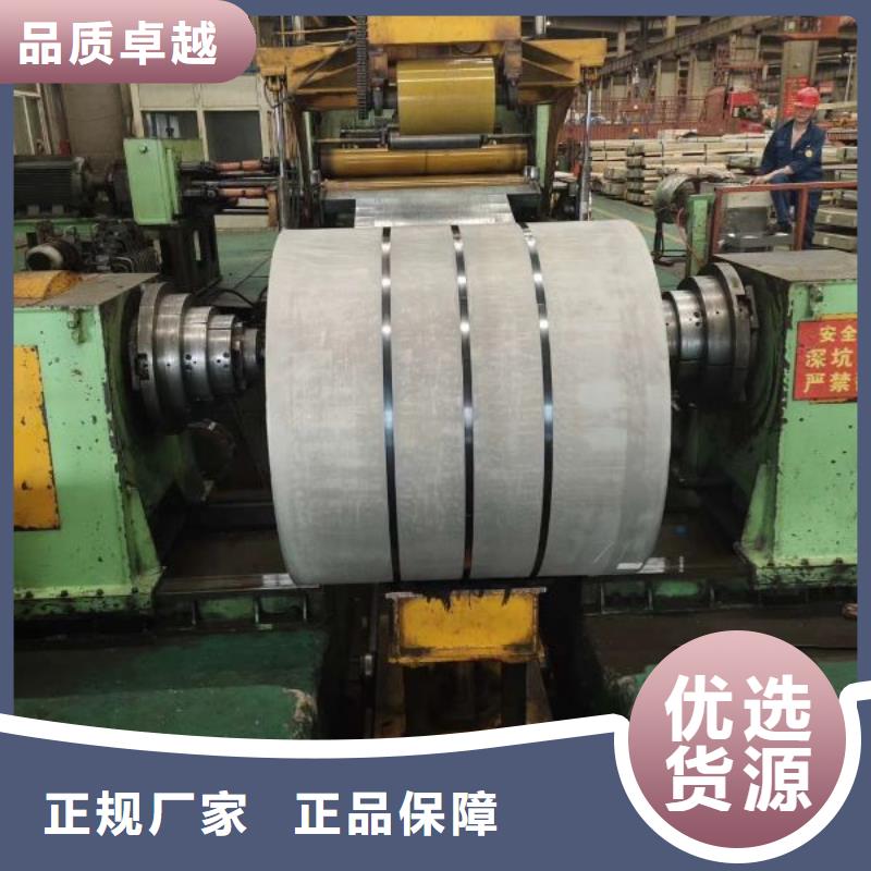 0.1mm进口极薄硅钢	GT080图片