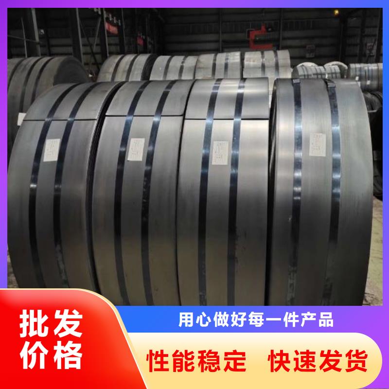 【电工钢硅钢片】汽车钢设计合理