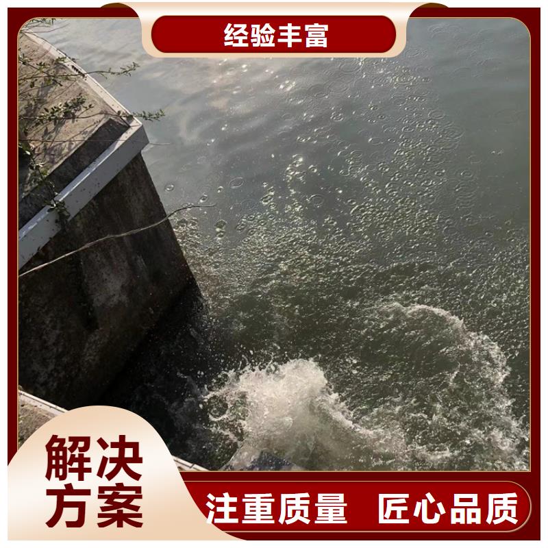 水下潜水团队好评度高