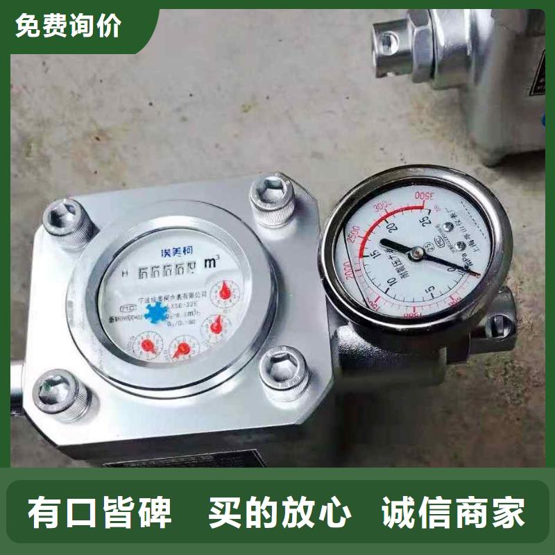 煤层注水表顶板离层仪厂家型号齐全