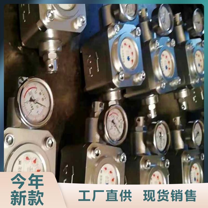 煤层注水表顶板离层仪厂家