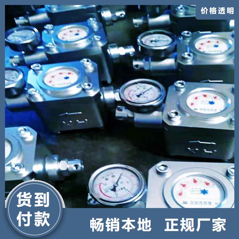 煤层注水表-DW-4多点位移计服务周到
