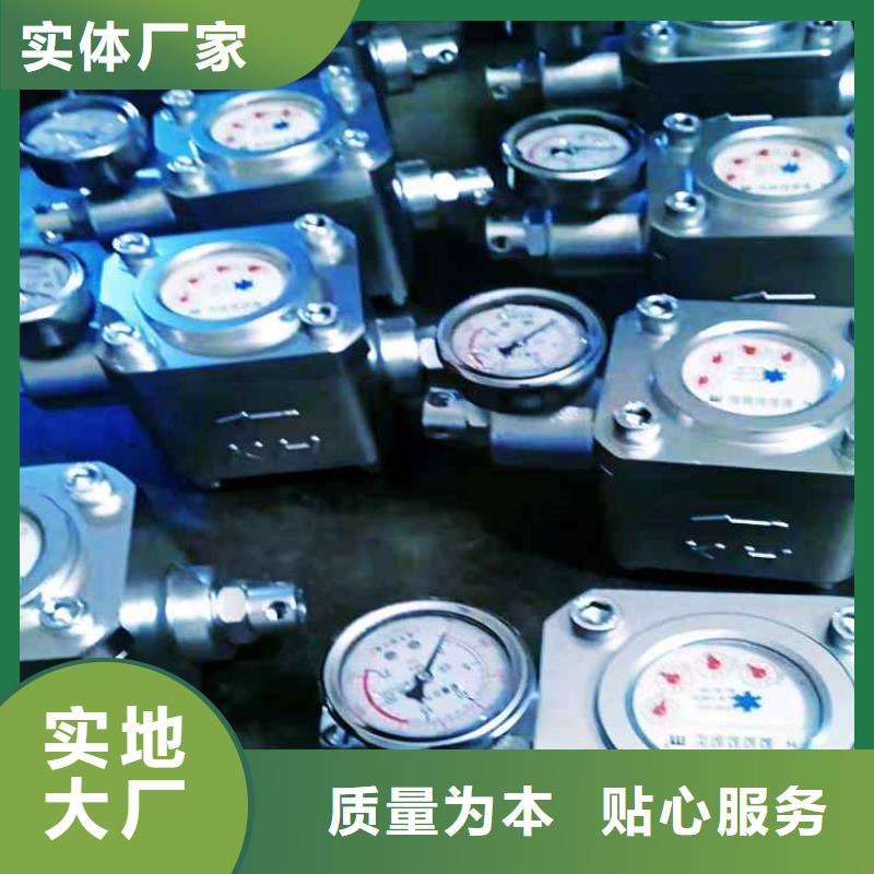 煤层注水表顶板离层仪厂家型号齐全