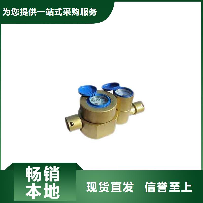 煤层注水表顶板离层仪品种全