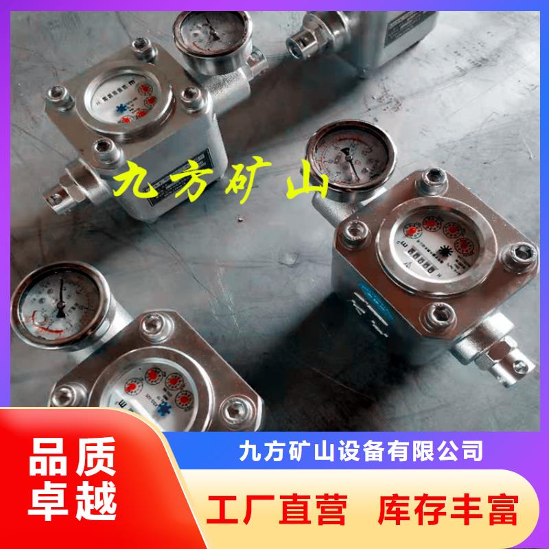 煤层注水表顶板离层仪品种全