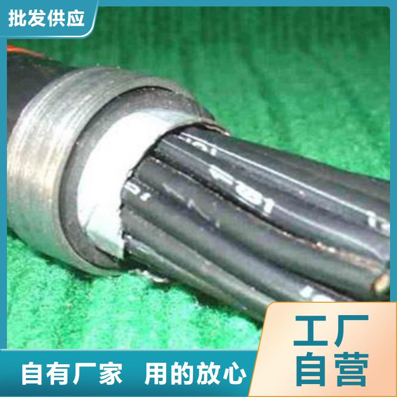特种电缆通信电缆厂家案例