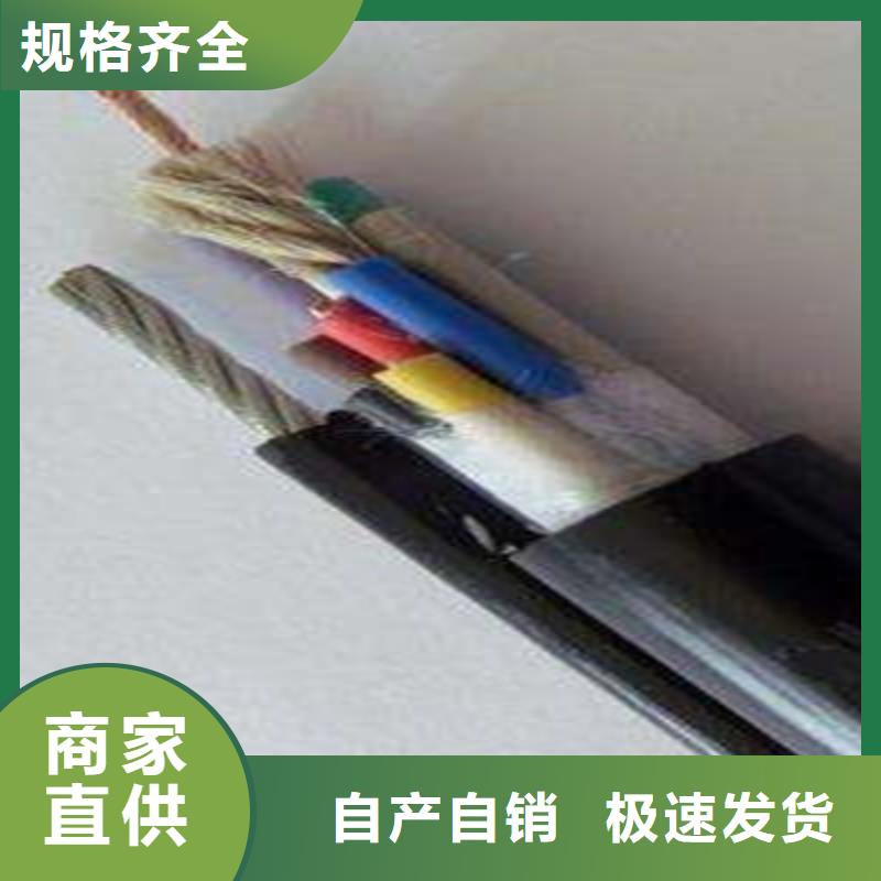 特种电缆,信号电缆经久耐用