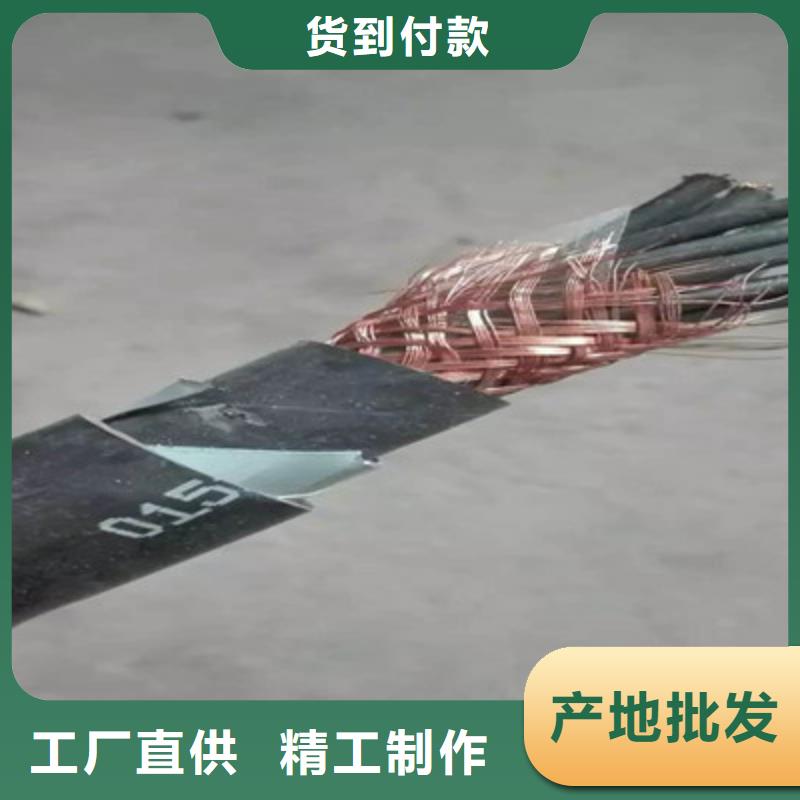特种电缆电力电缆厂家经验丰富