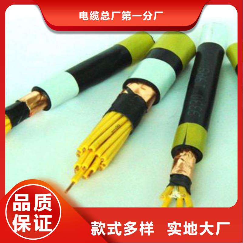 【特种电缆铁路信号电缆质量无忧】