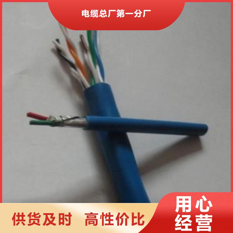 【特种电缆电缆生产厂家出货及时】